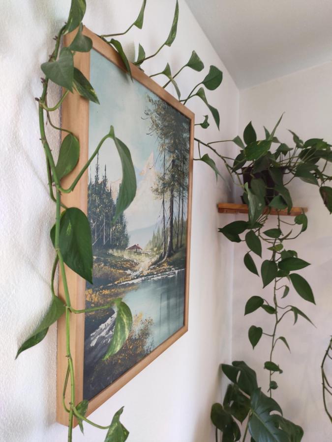 풀라 Kuca Za Odmor Tri Sunca 빌라 외부 사진